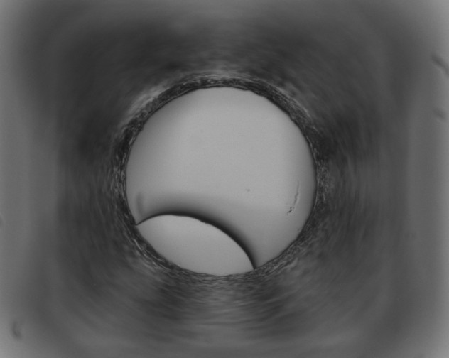 X0000093581207200710150950
