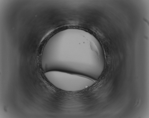 X0000093581208200710150950