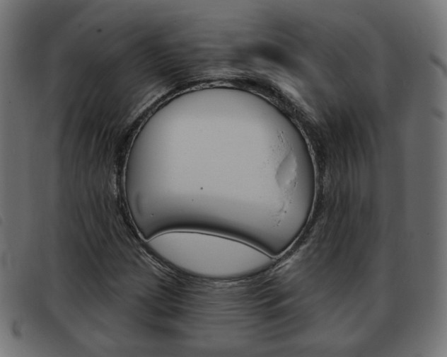 X0000093581209200710150950