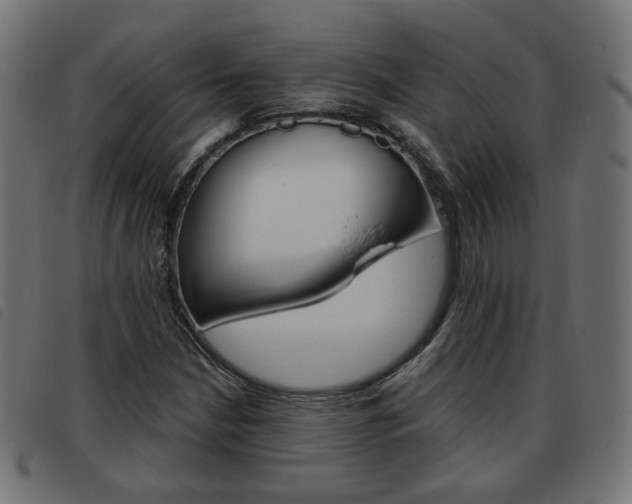 X0000093581210200710150950