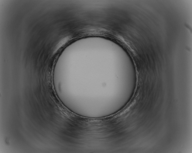 X0000093581211200710150950