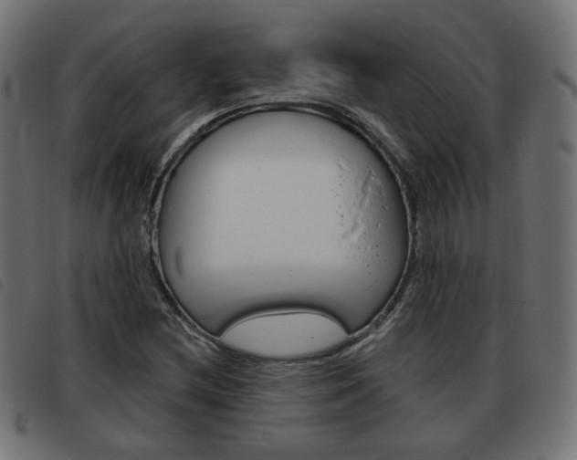 X0000093581212200710150950