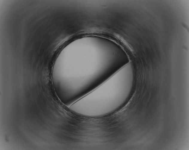 X0000093581213200710150950