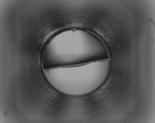 X0000093581214200710150951