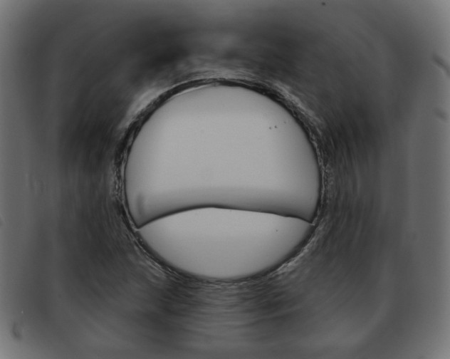 X0000093581215200710150951