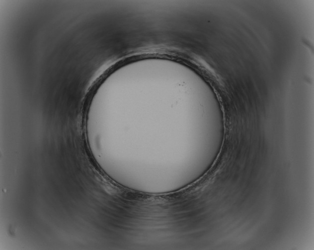 X0000093581216200710150951