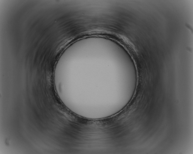 X0000093581217200710150951
