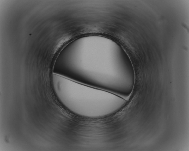 X0000093581218200710150951