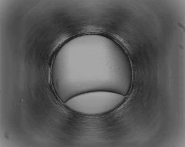 X0000093581219200710150951