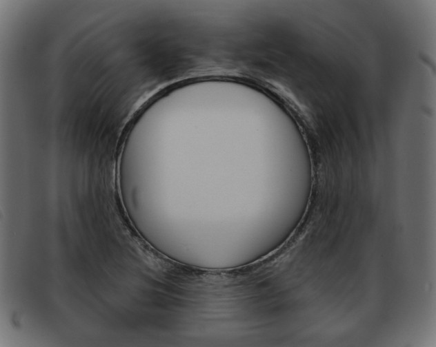 X0000093581220200710150951