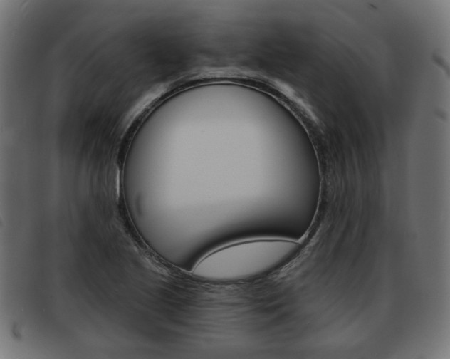X0000093581221200710150951