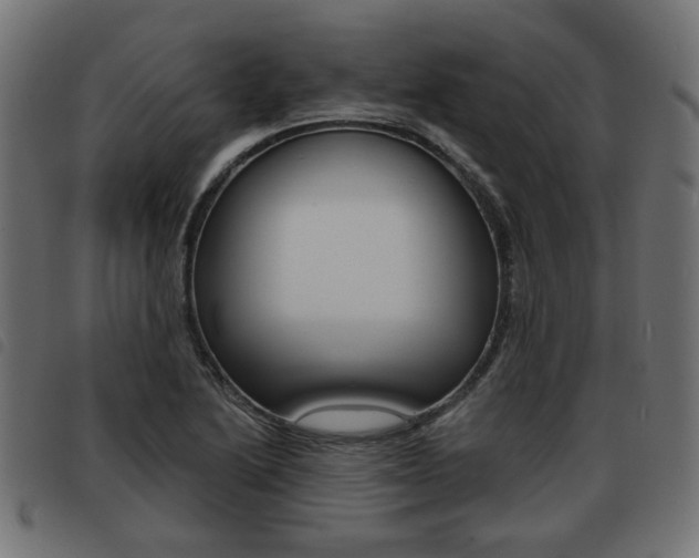 X0000093581222200710150951