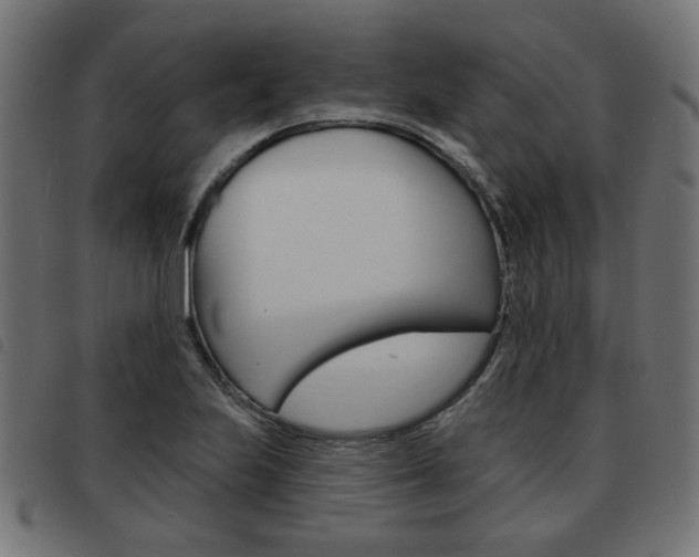 X0000093581223200710150951