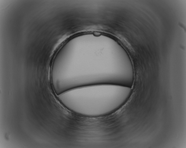 X0000093581224200710150951