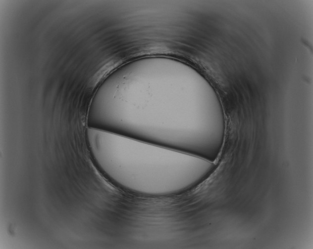 X0000093581225200710150951