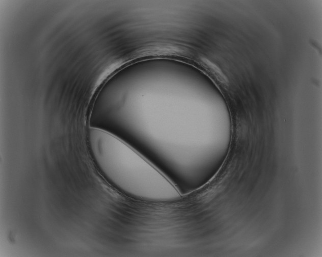 X0000093581226200710150951