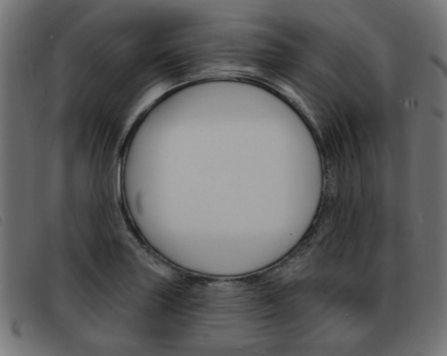 X0000093581227200710150951