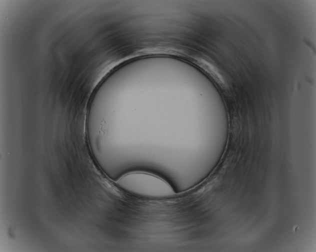 X0000093581228200710150951