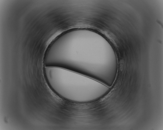 X0000093581229200710150951