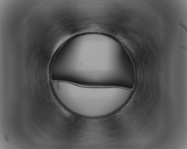 X0000093581230200710150951