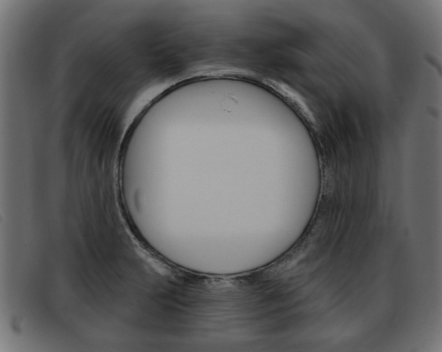 X0000093581231200710150951