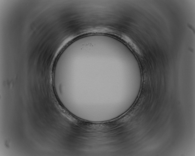 X0000093581232200710150951