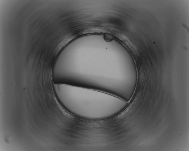 X0000093581233200710150951