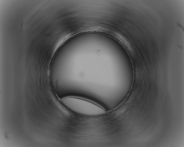 X0000093581234200710150951
