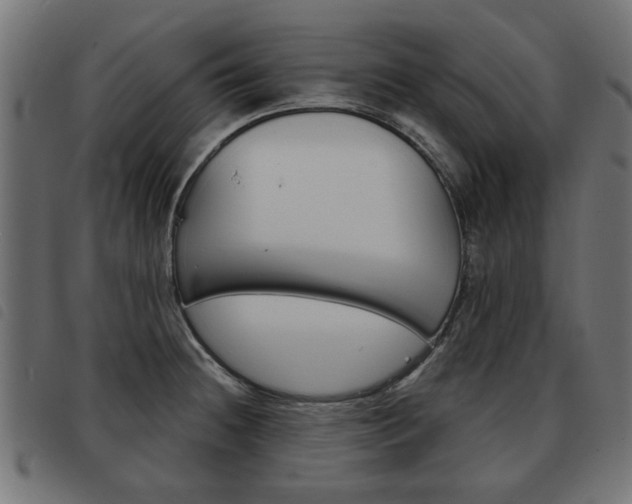 X0000093581236200710150951