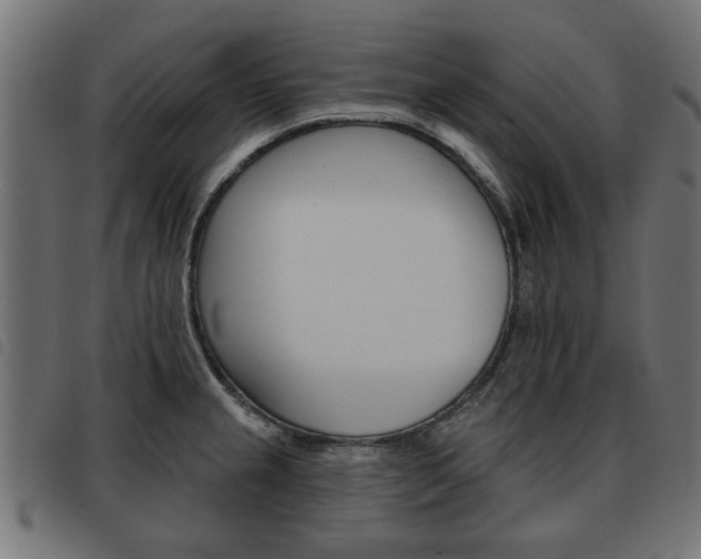 X0000093581237200710150951