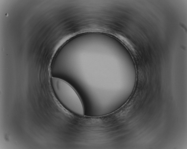 X0000093581238200710150951