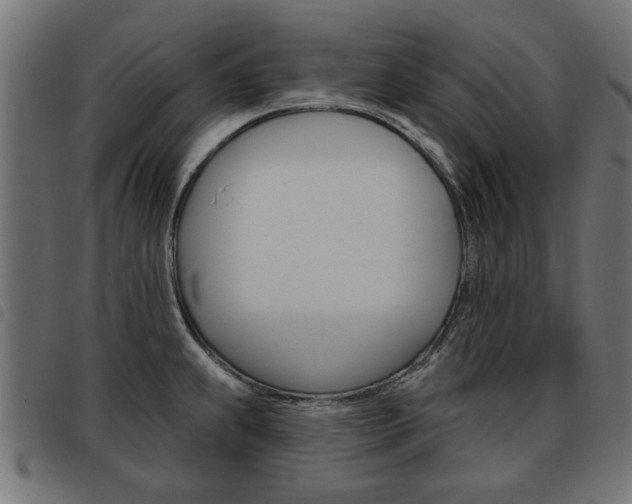 X0000093581239200710150951