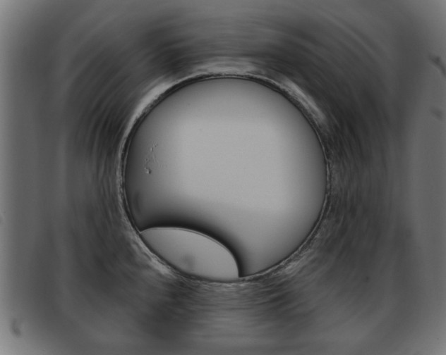 X0000093581240200710150951