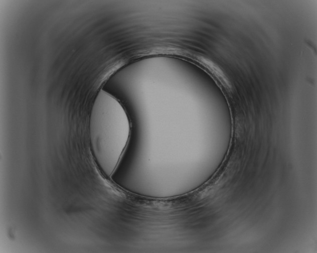 X0000093581241200710150951