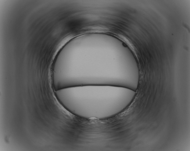 X0000093581243200710150951