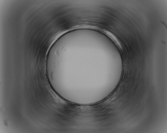 X0000093581244200710150951