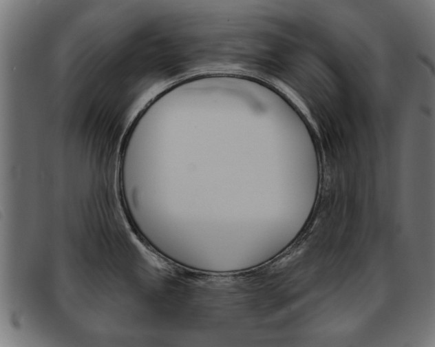 X0000093581245200710150951