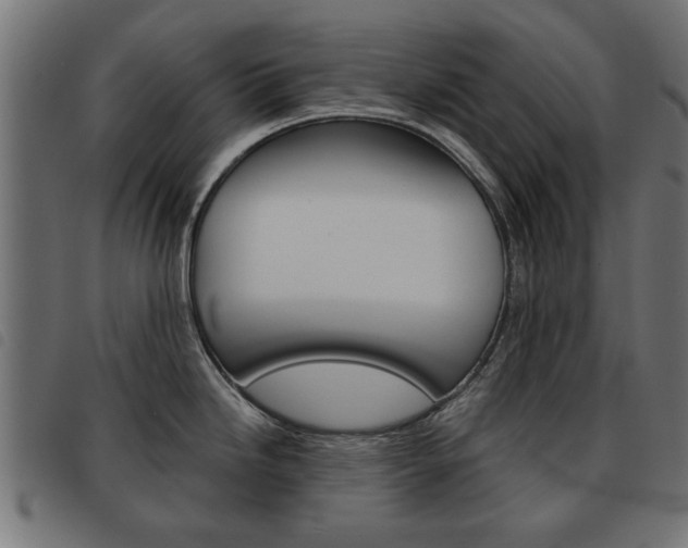 X0000093581246200710150951