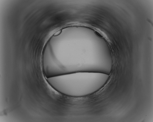 X0000093581247200710150951