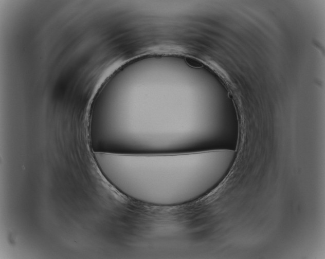 X0000093581248200710150951