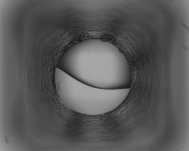 X0000093581249200710150950