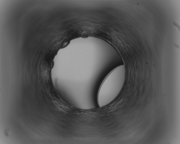 X0000093581250200710150950