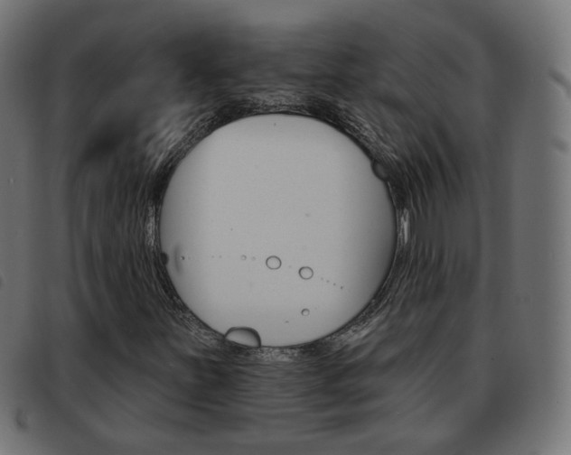 X0000093581251200710150950