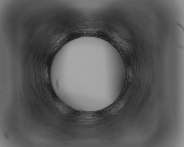 X0000093581252200710150950