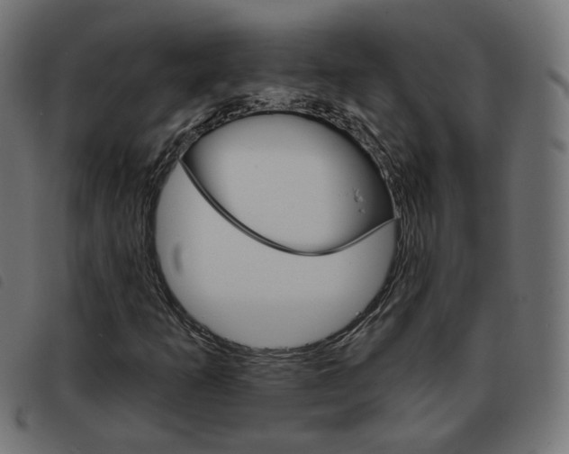 X0000093581253200710150950
