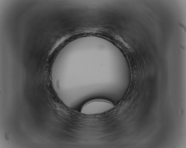 X0000093581256200710150950