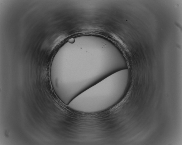 X0000093581259200710150950