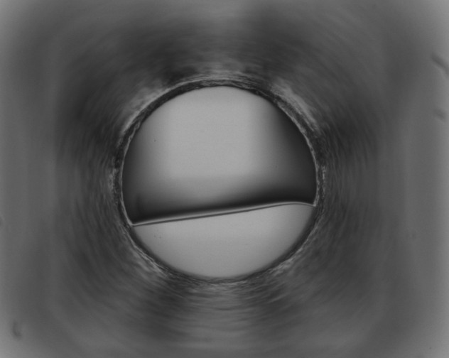 X0000093581260200710150950