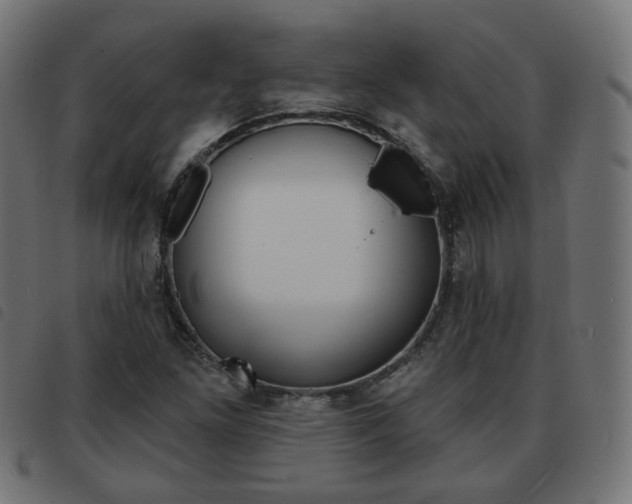X0000093581261200710150950