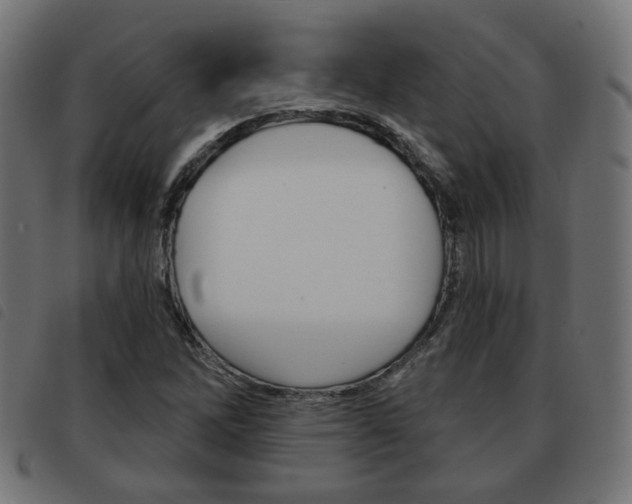 X0000093581262200710150950
